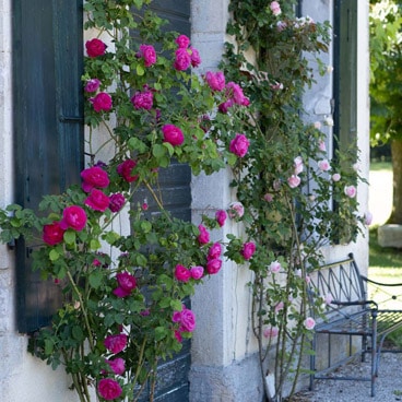 mariage-section-gite